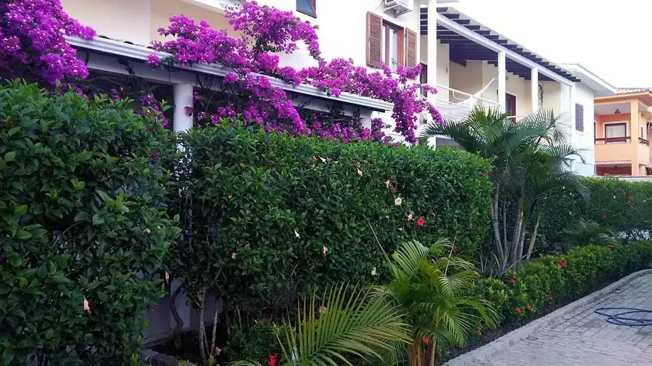Apartment Apartamento Em Porto Seguro Com Piscina Brazil